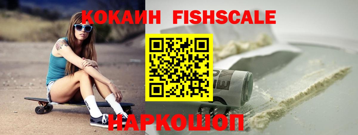 купить   Cocaine Fish Scale  Сертолово  Вход с VPN  Cocaine VHQ 